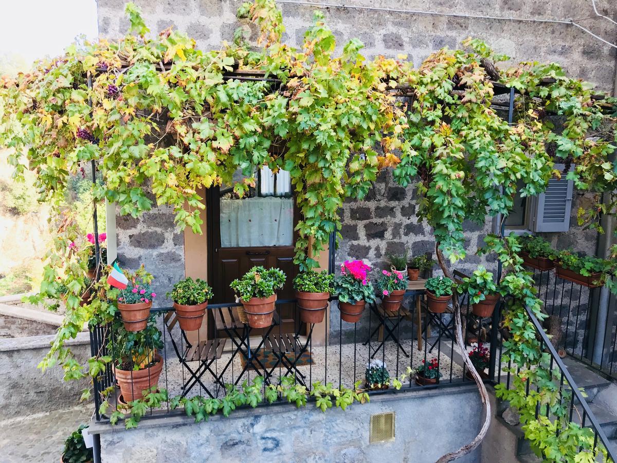 הוילה רונצ'יליונה Renaissance Boutique House מראה חיצוני תמונה