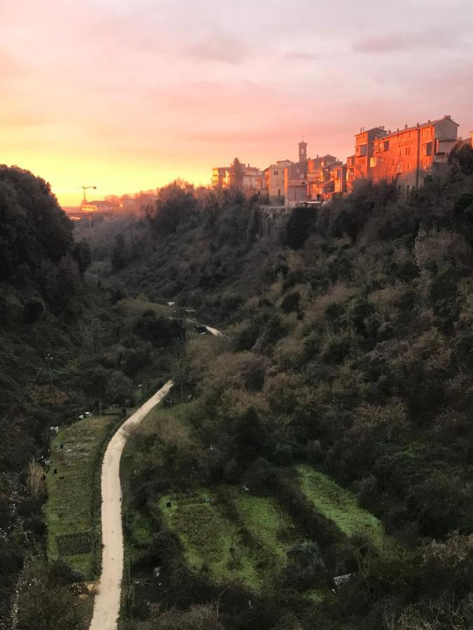 הוילה רונצ'יליונה Renaissance Boutique House מראה חיצוני תמונה